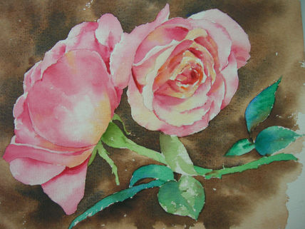 Rosas rosas