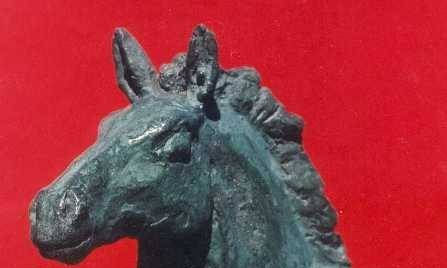 Caballos