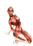 ng art01