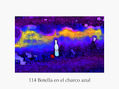 114  Botella en el Charco azul