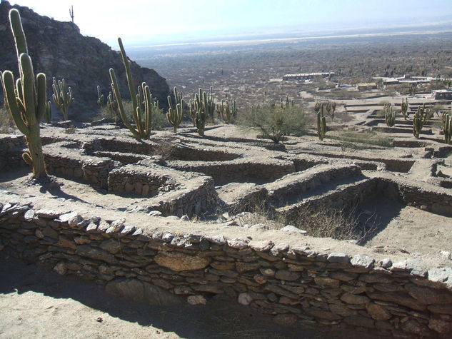 Los cardones 