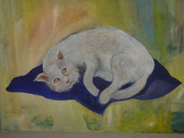 El gato miron
