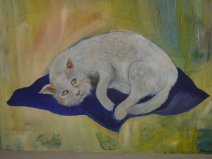 El gato miron