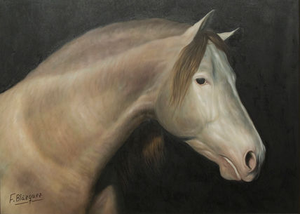 Caballo p.r.e.