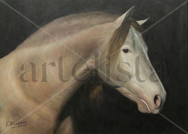CABALLO P.R.E.
