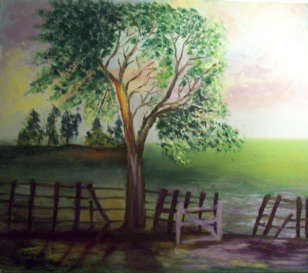 campo