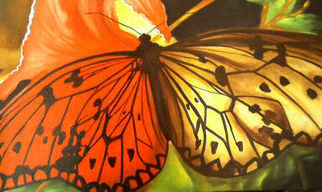 PINTURAS NATURALSTAS
