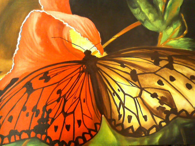 Mariposa en central park Oil Canvas Animals