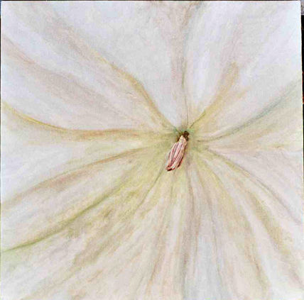 Campanilla