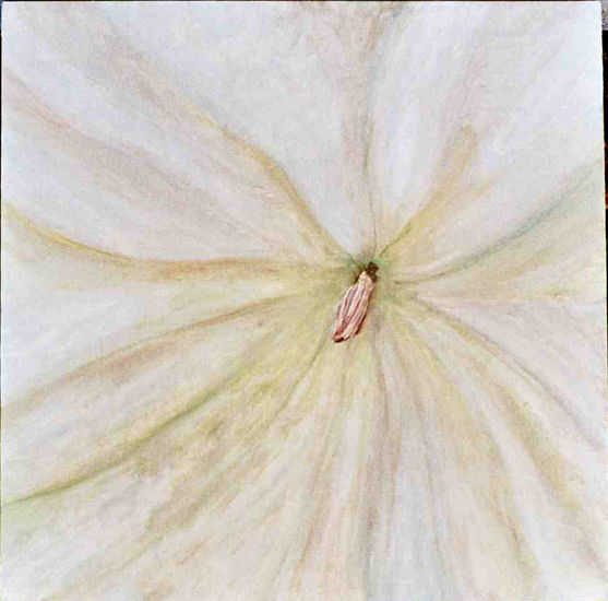 CAMPANILLA Oil Panel Floral Painting