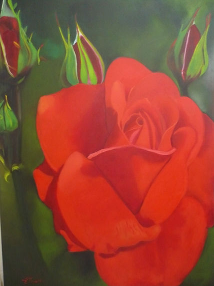 Rosas de Junio