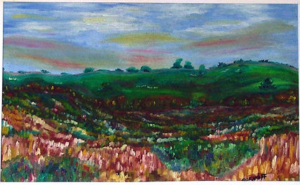 Campo de flores
