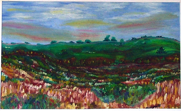 Campo de flores