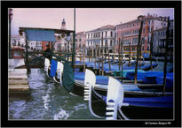 Venecia