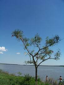 Costa-agua-cielo