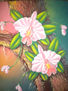 orquideas