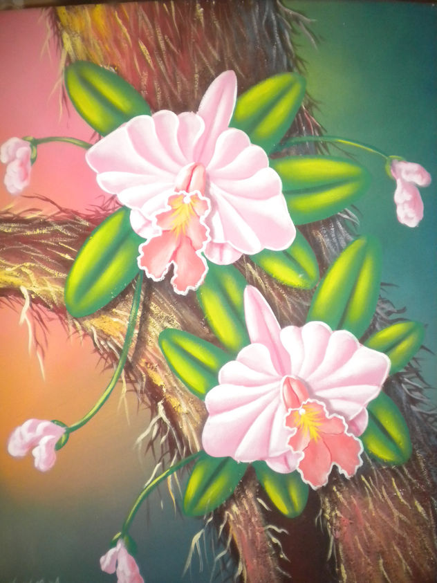 orquideas