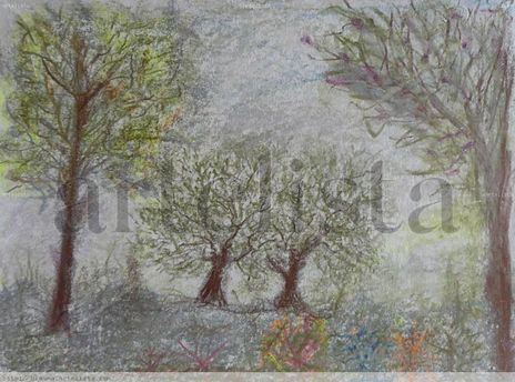 Arboles serranos  22