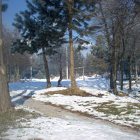 obra