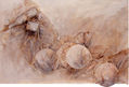 Bielusa 7