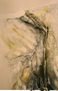 Bielusa 6