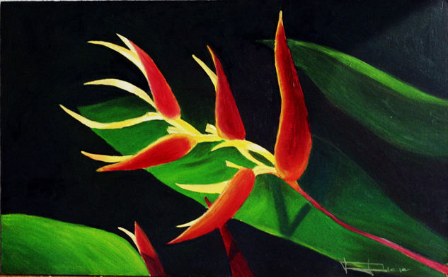 HELICONIA Oil Panel