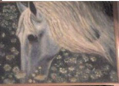 caballo blanco Oil Canvas Landscaping