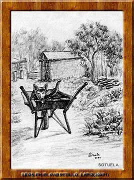 LEÓN EN EL CARRETILLO