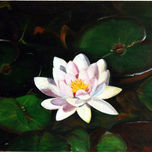 FLORES thumbnail 1