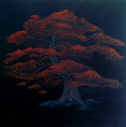 Bonsai