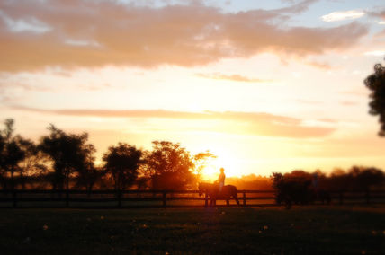 Atardecer en La Pampa