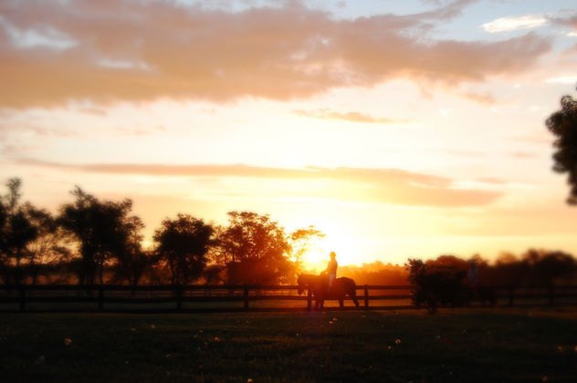 Atardecer en La Pampa