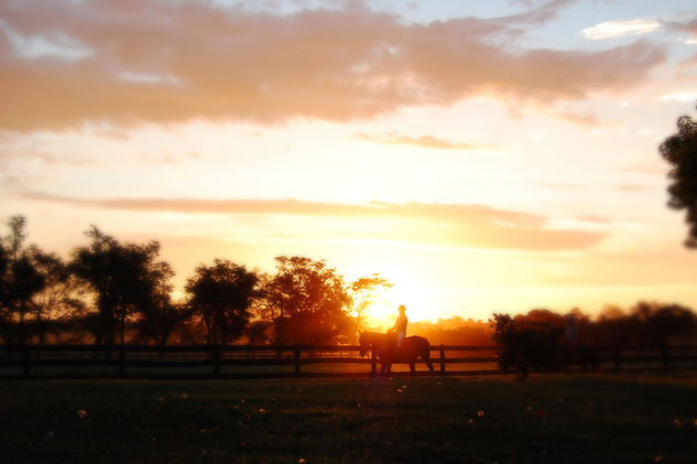 Atardecer en La Pampa Nature Color (Digital)