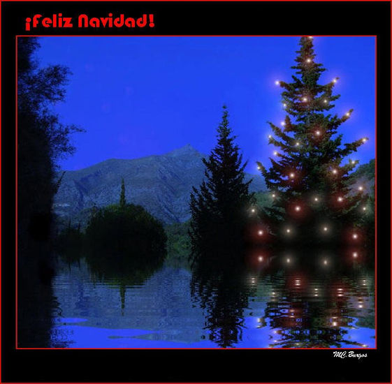 ¡Feliz Navidad! Naturaleza Color (Digital)