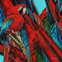 obra