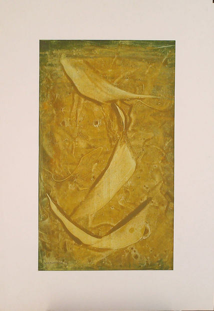 Aves