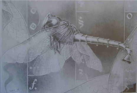 Claribélula