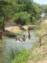 Niños bañando en el bosque seco