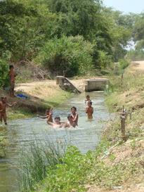 Niños bañando en el...