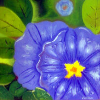 Solano de flor azul