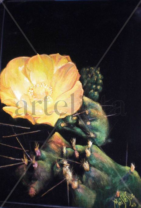 cactus del ande I