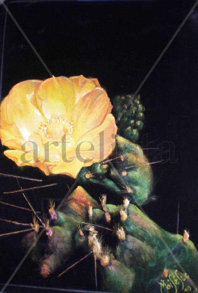 cactus del ande I