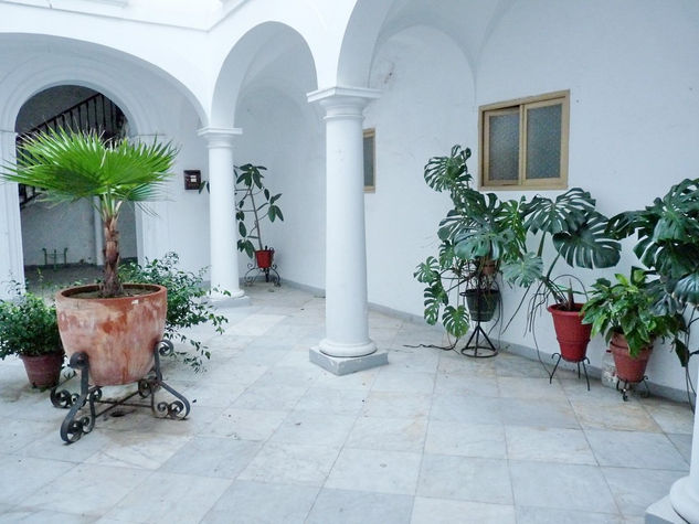 El patio Architecture and Interiorism Color (Digital)