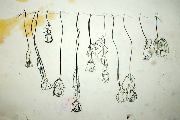 Flores secas en mi puerta / Withered flowers on my door