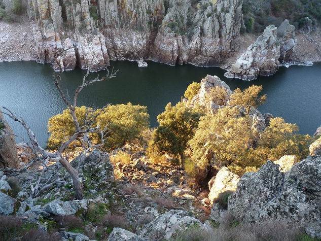 Mirador sobre el Tajo 