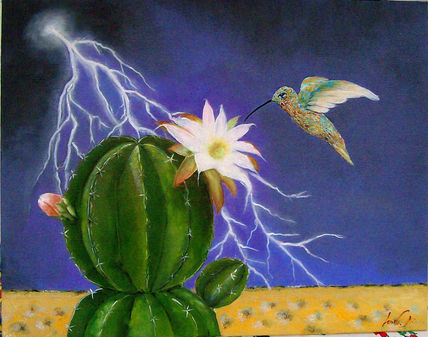 Colibri di luce