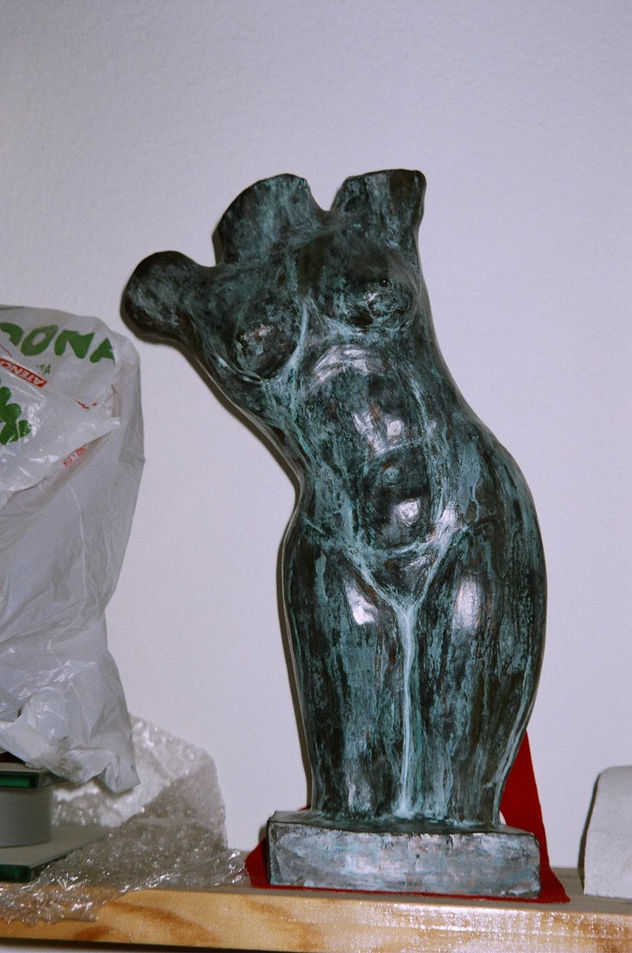 torso n1