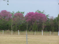 Foto036