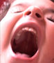 Fiera