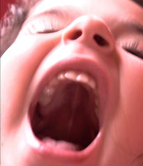 Fiera